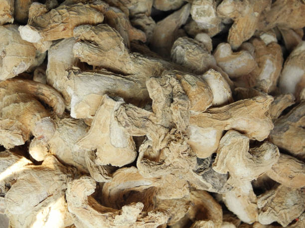 Dry ginger (Zingiber officinale) in South India, Kochi, Kerala Dry ginger (Zingiber officinale) in South India, Kochi, Kerala
