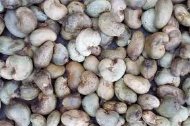 RAW CASHEW NUTS RAW CASHEW NUTS