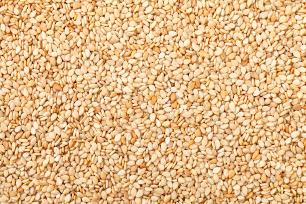Sesame Seeds Sesame Seeds